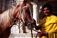 India-Rajasthan-Castle to Castle Safari in Rajasthan
